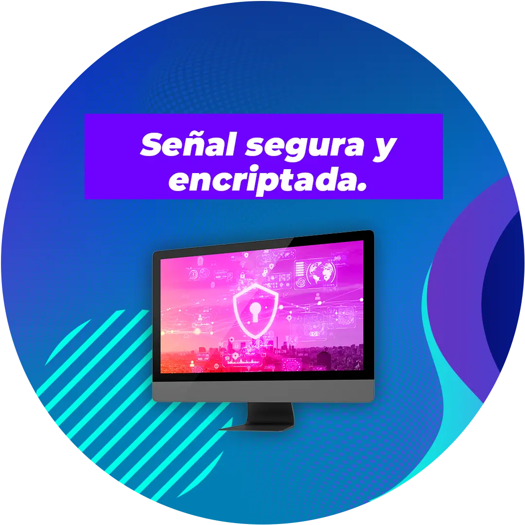 Slide_23_4_programacion.webp